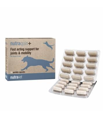 NUTRAVET Nutraquin Plus pre psy a mačky 30 kapsúl - poskytuje rýchlu podporu pre domáce zvieratá trpiace stuhnutosťou kĺbov.