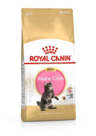 ROYAL CANIN Maine Coon Kitten 2x10kg 